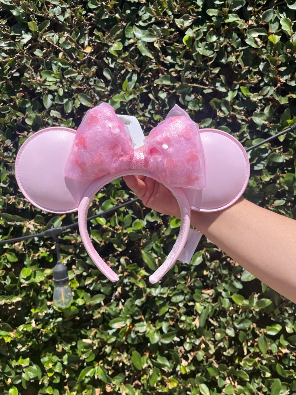 Pink Disney Park Ears